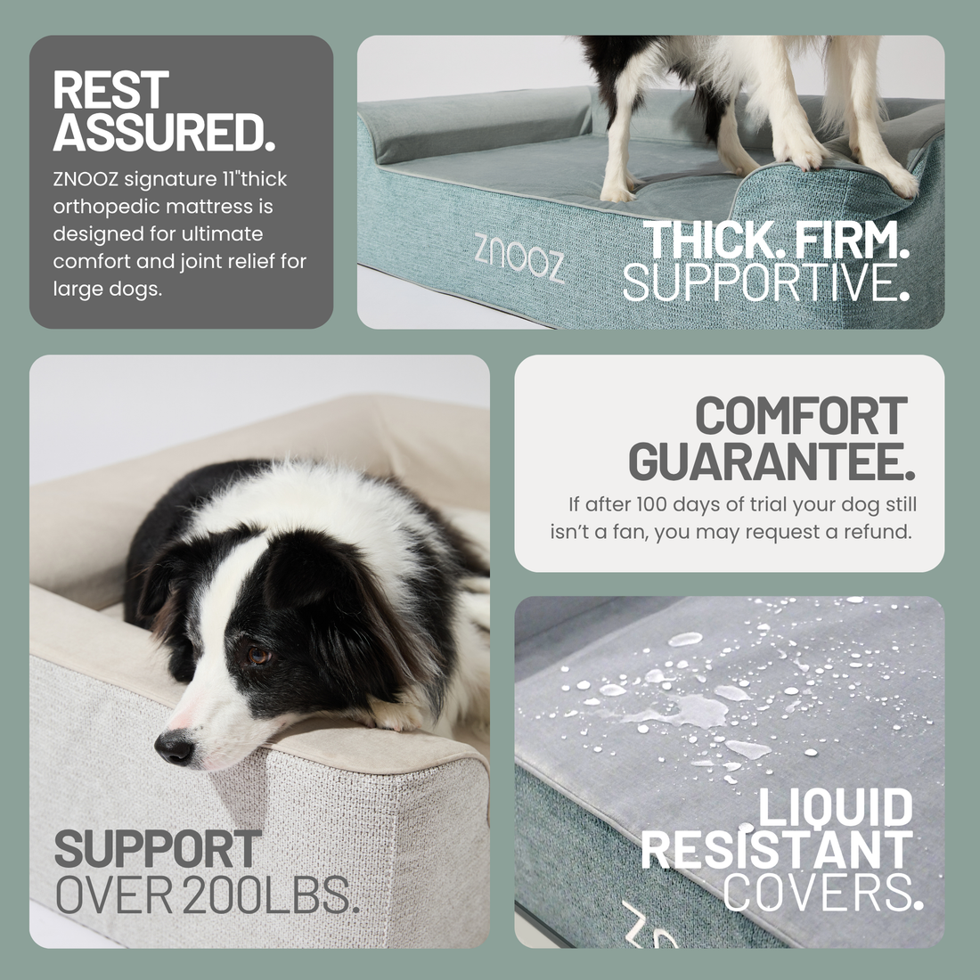 ZNOOZ Orthopedic Dog Bed Bundle- Special Edition