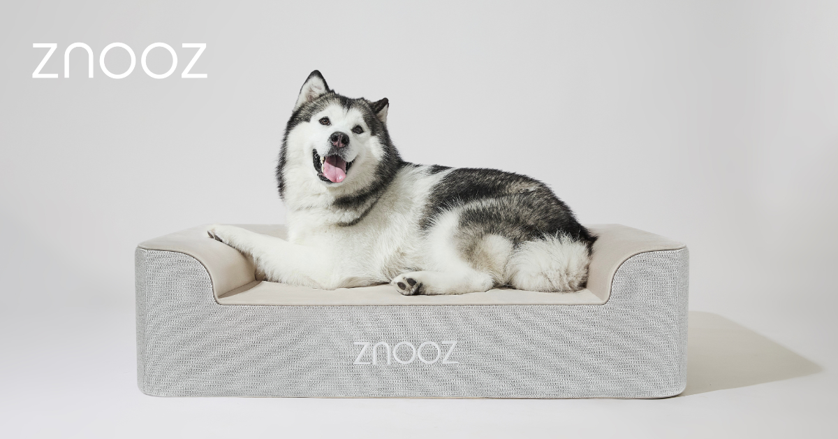 Durable Dog Bed Fabrics | ZNOOZ Strength & Durability