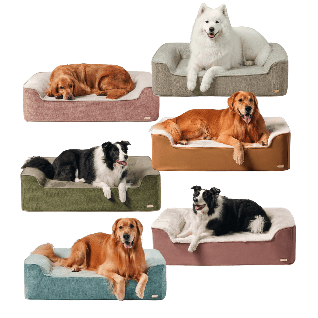 ZNOOZ New Dog Bed Collection: Orthopedic Comfort & Timeless Style