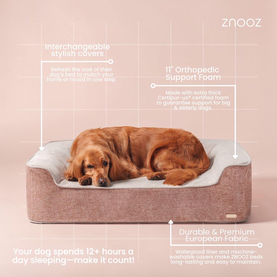 Why a 3-Sided Raised Arm Dog Bed is Perfect for Big Dogs