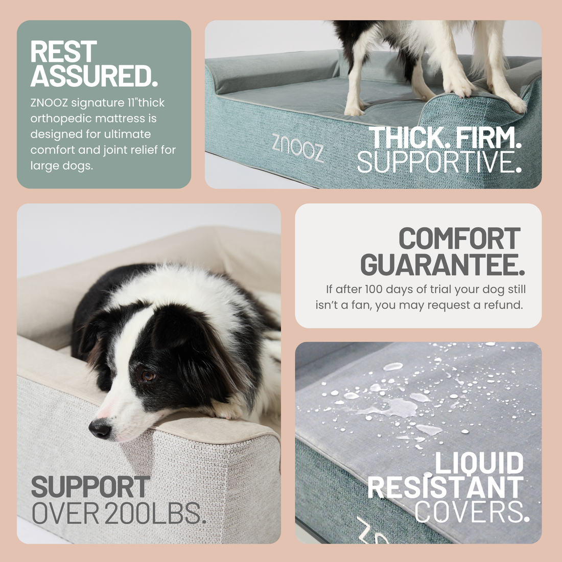 Why Vets Recommend Orthopedic Dog Beds for Dogs with Joint Issues?