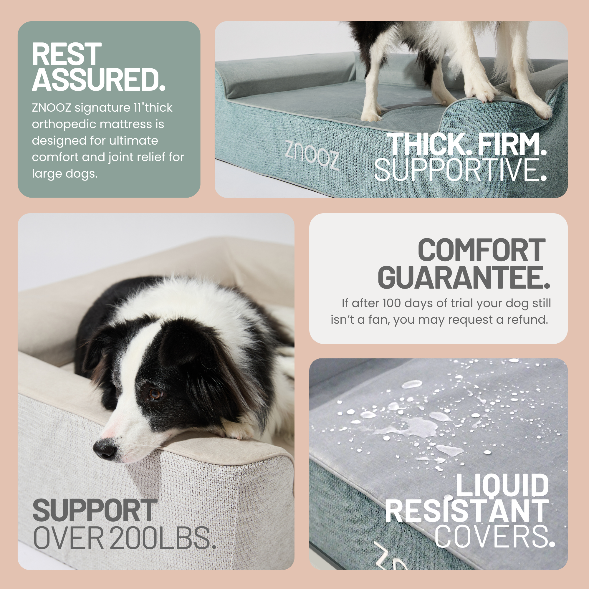 Why Vets Recommend Orthopedic Dog Beds for Dogs with Joint Issues?