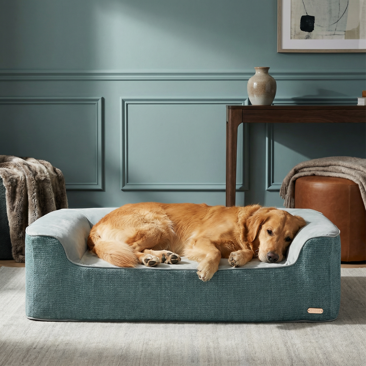 Best Dog Bed for Spay or Neuter Recovery | ZNOOZ