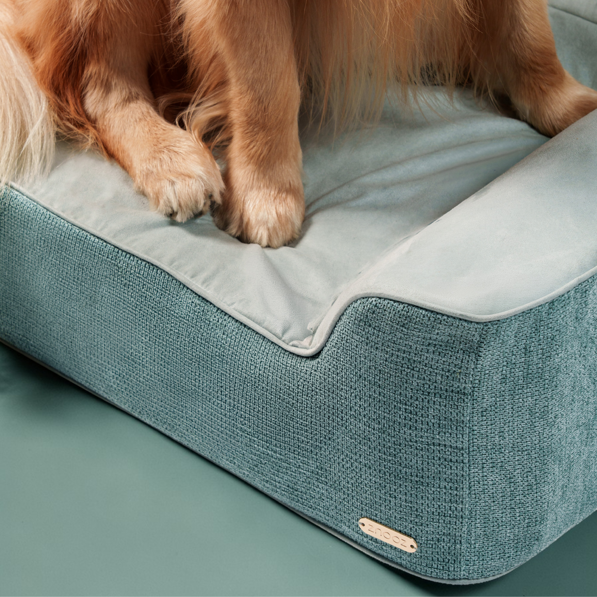 How Long Should a Dog Bed Last? Signs It's Gone Flat | ZNOOZ