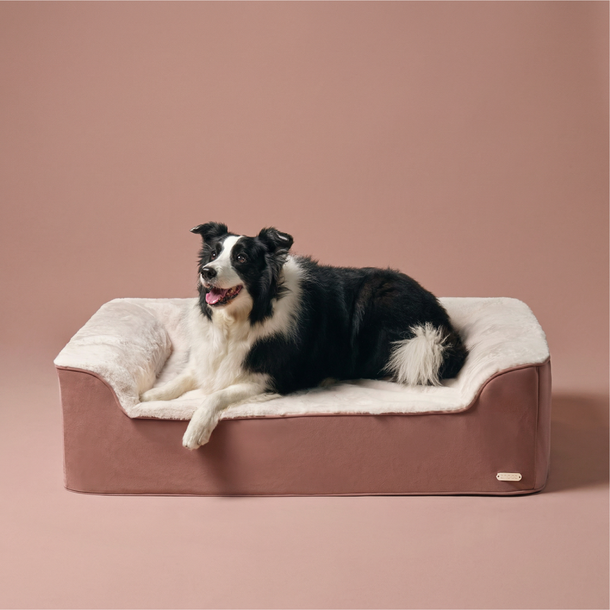 Dog Bed Size Guide for Large Breeds: How to Choose the Right Fit (and Why It Matters)