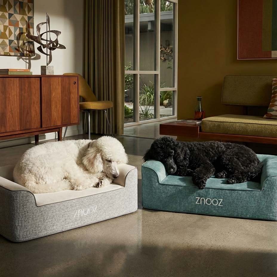 Full Guide to Choosing the Best Arthritic Dog Bed for Senior & Big Dogs with Joint Issues