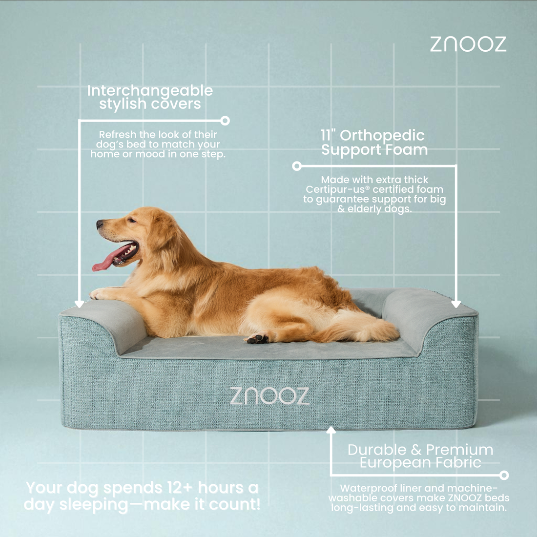 Understanding Joint Issues in Dogs: How an Orthopedic Dog Bed Can Help Your Pet