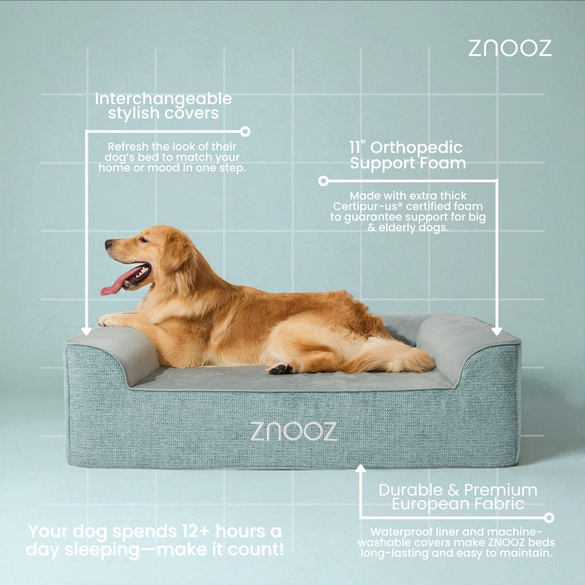 Understanding Joint Issues in Dogs: How an Orthopedic Dog Bed Can Help Your Pet