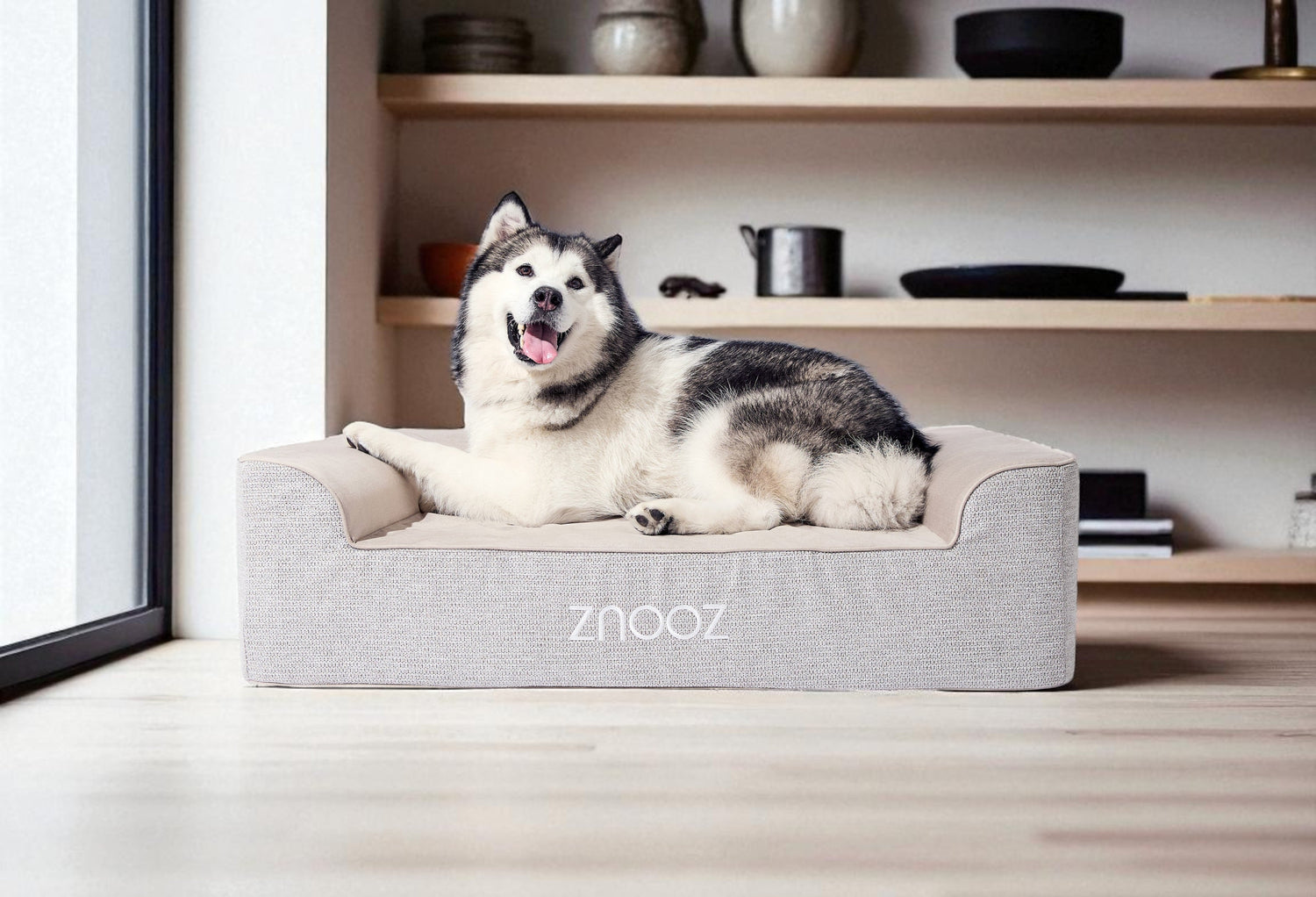 How to Help Your Dog Adjust to Their New Dog Bed