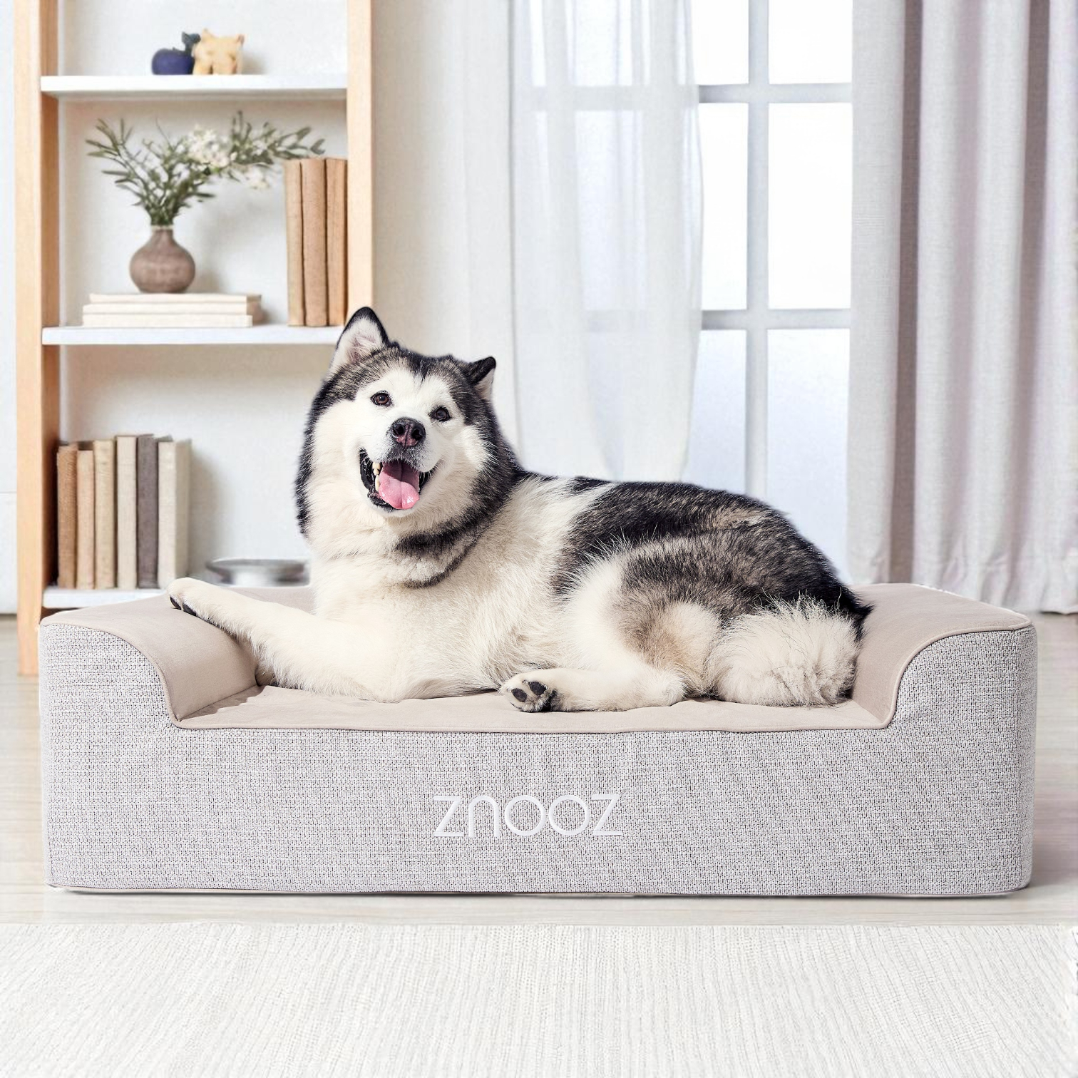 Dog Sleep 101: How Much Sleep Dogs Need and How a Better Bed Improves Their Health