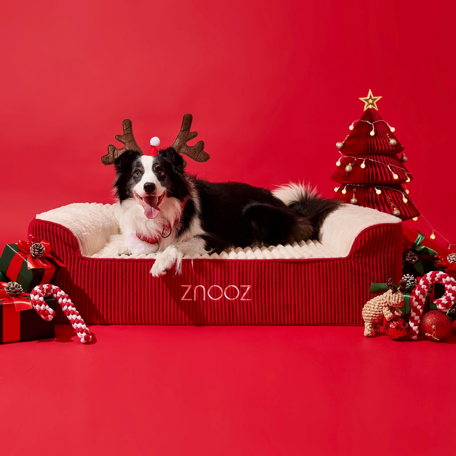 Festive Snuggles Await: Special Edition ZNOOZ Christmas Cover!