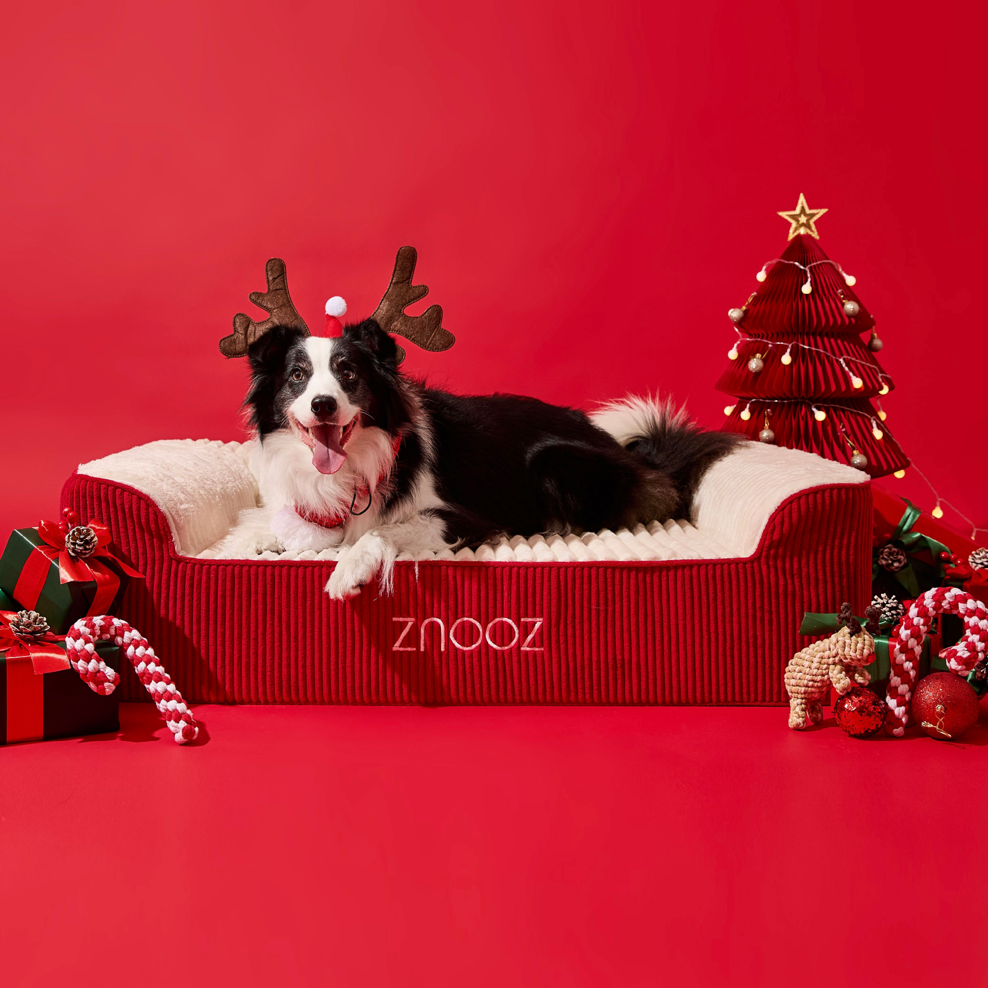 Festive Snuggles Await: Special Edition ZNOOZ Christmas Cover!