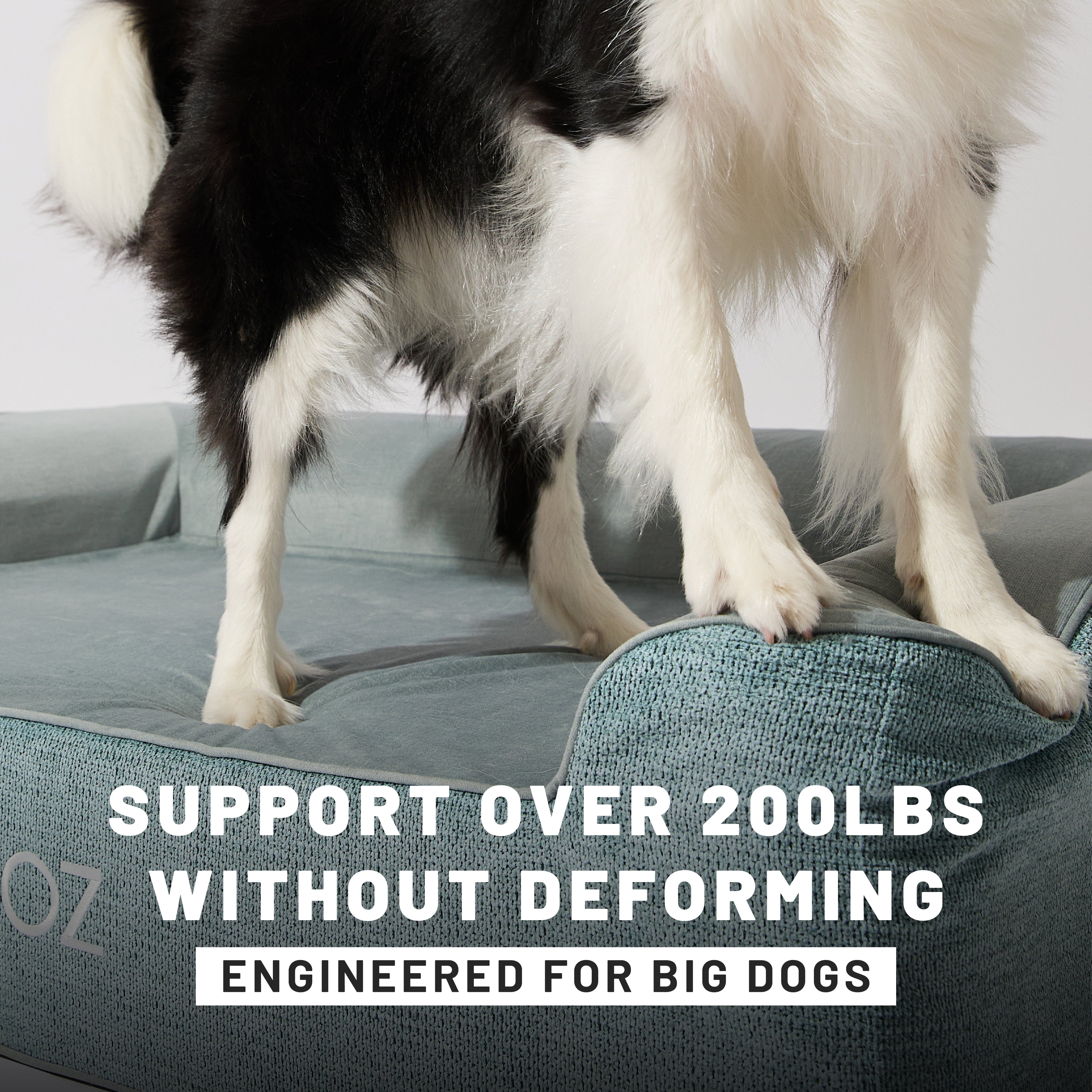 Discover ZNOOZ Orthopedic Beds: Tailored Comfort for Big & Senior Dogs