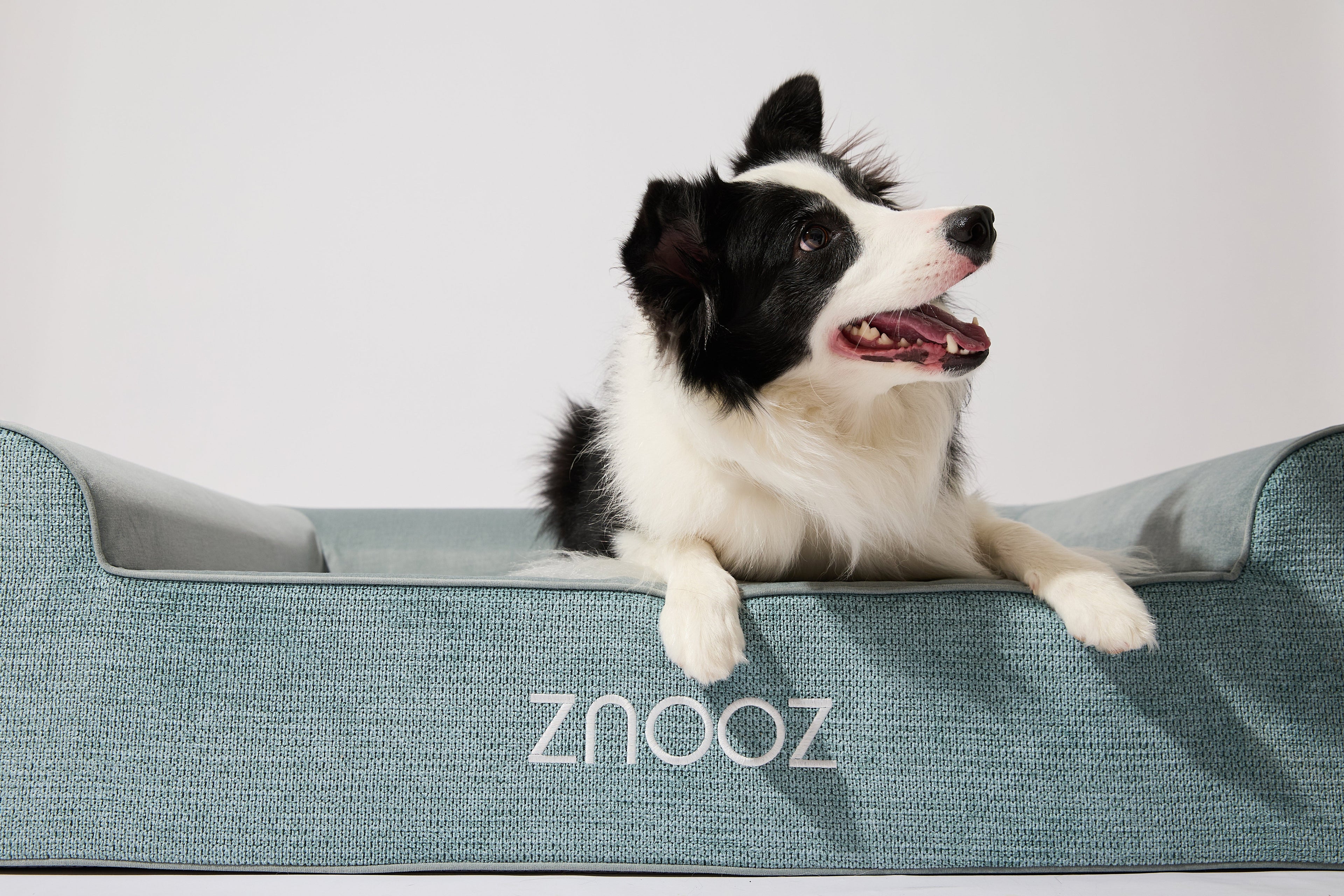 What Makes the Best Orthopedic Dog Bed for Large Breeds? Quality Materials Matter