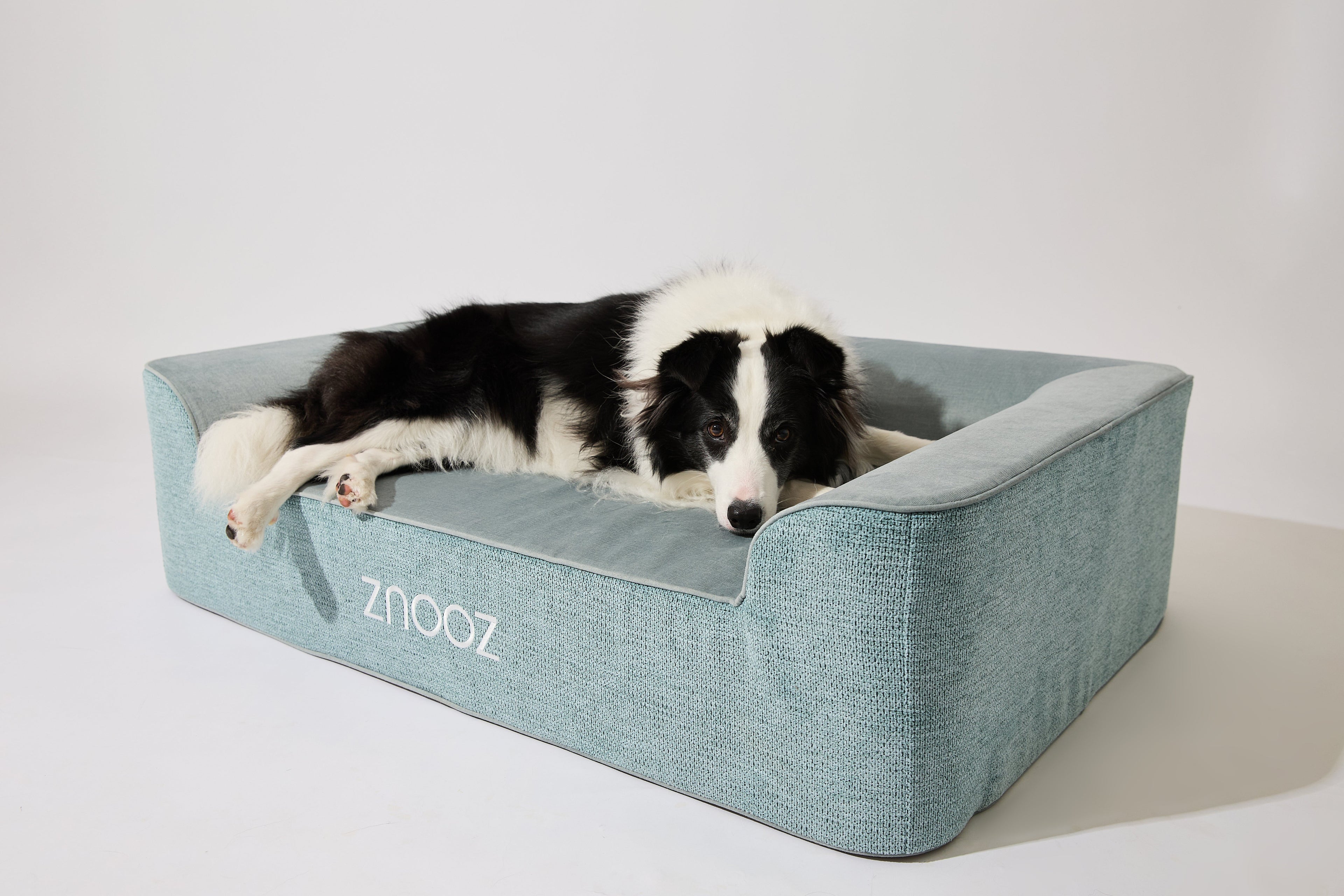 ZNOOZ Dog Beds: Best Support for Arthritis & Joint Health in Big Dogs