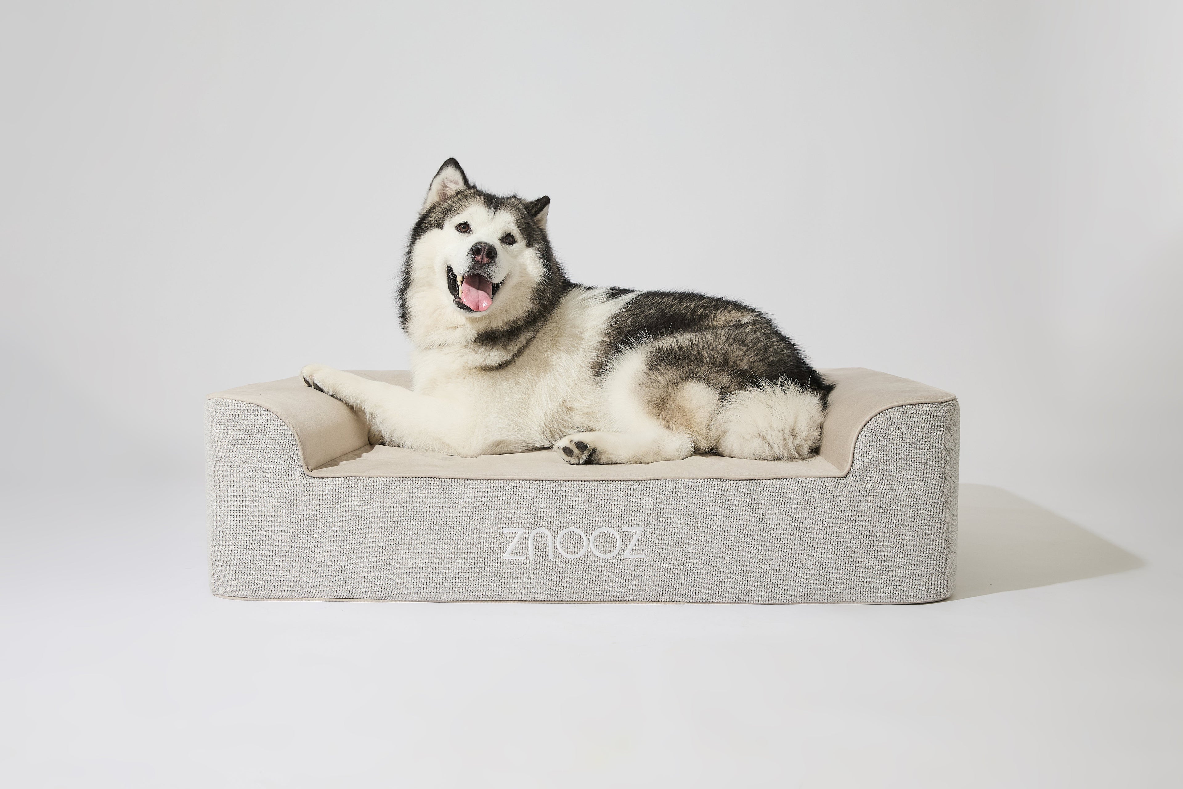Calming Power of ZNOOZ’s Orthopedic Dog Bed: Triple-Layer Foam for Ultimate Comfort