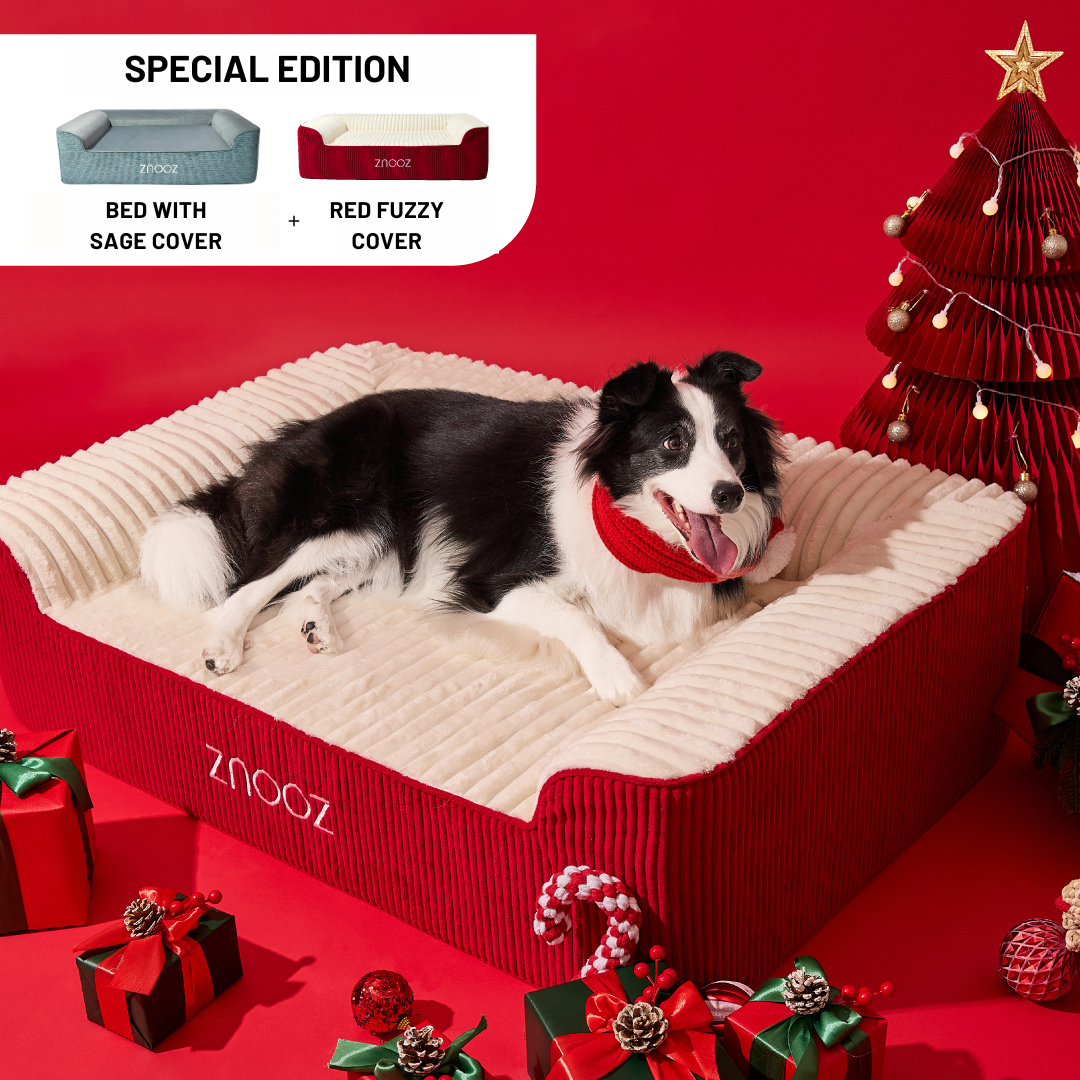 ZNOOZ Orthopedic Dog Bed - Special Edition