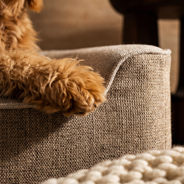 ZNOOZ Orthopedic Bed