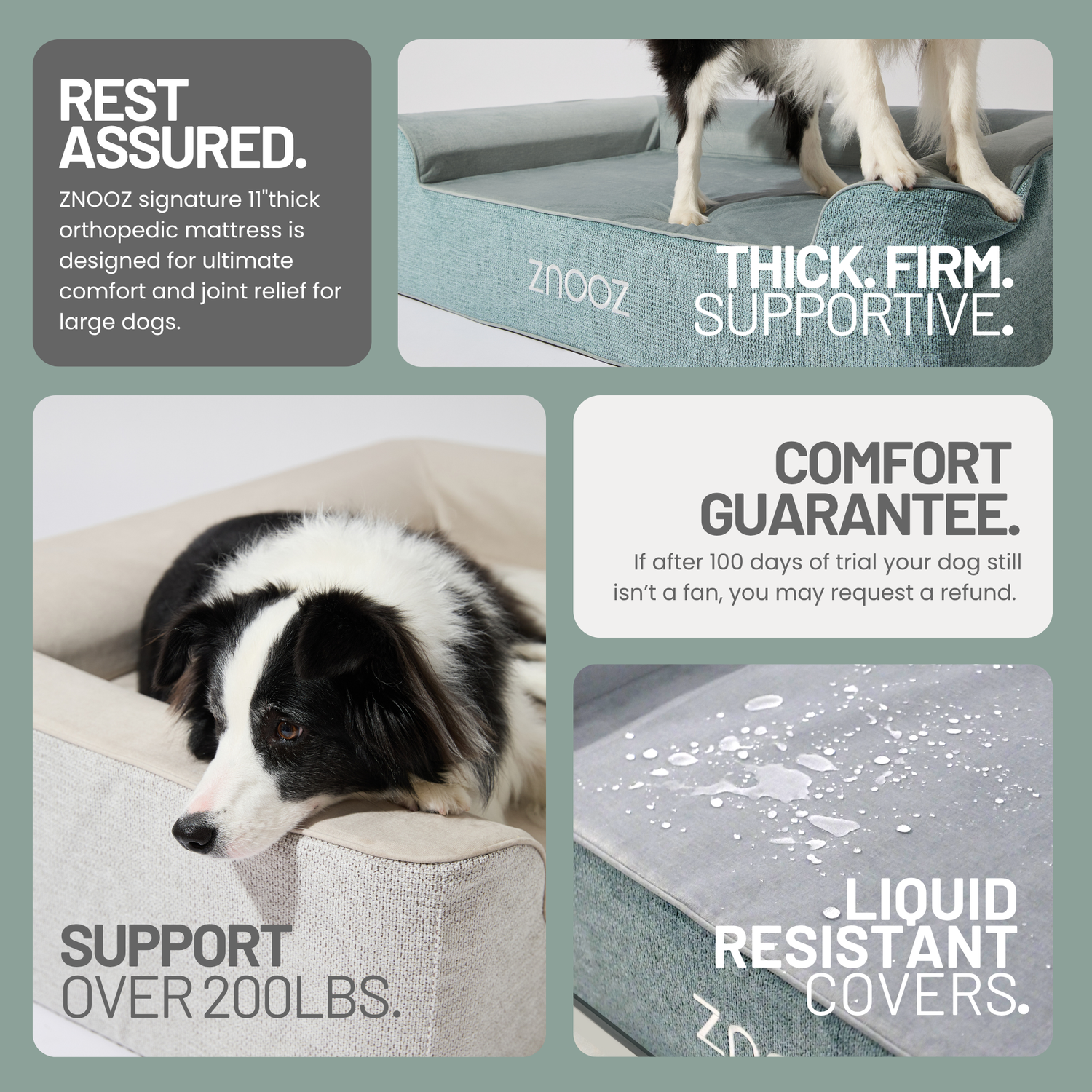 ZNOOZ Dog Bed Cover