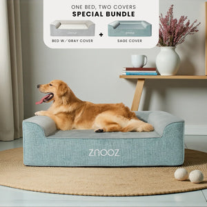 ZNOOZ Orthopedic Dog Bed - Festive Bundle
