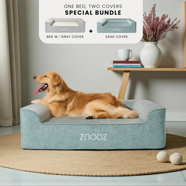 ZNOOZ Orthopedic Dog Bed - Festive Bundle