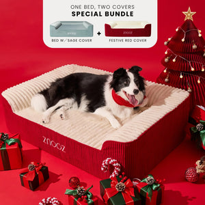 ZNOOZ Orthopedic Dog Bed - Festive Bundle