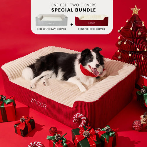 ZNOOZ Orthopedic Dog Bed - Festive Bundle
