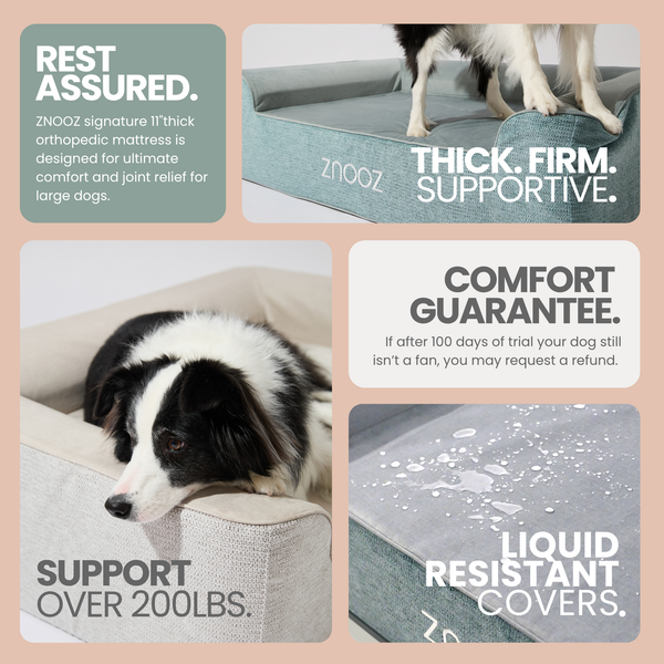ZNOOZ Orthopedic Dog Bed