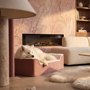 ZNOOZ Orthopedic Bed