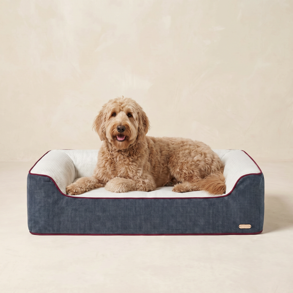 ZNOOZ Orthopedic Bed