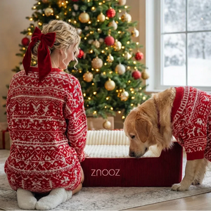 ZNOOZ Orthopedic Dog Bed - Festive Bundle