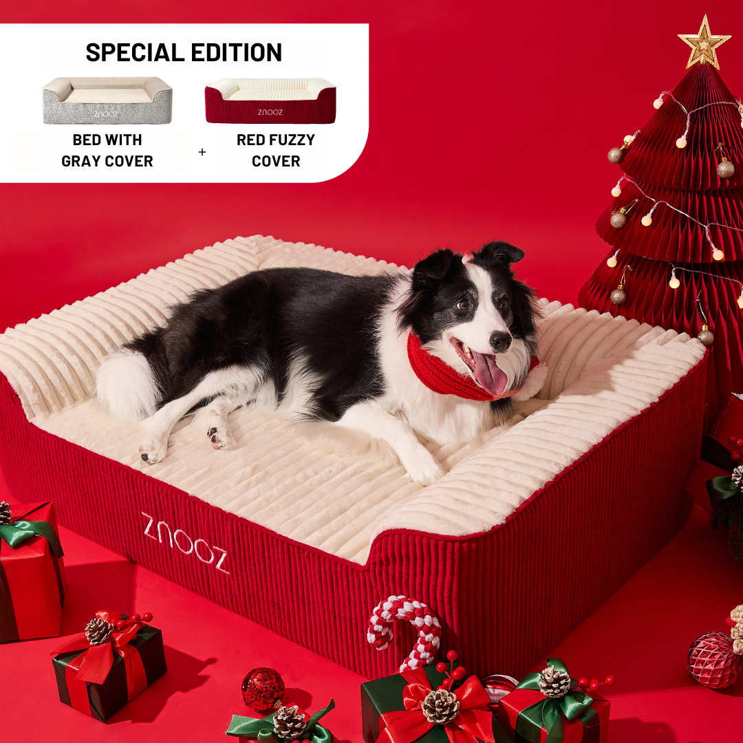 ZNOOZ Orthopedic Dog Bed - Special Edition