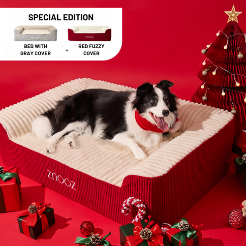 ZNOOZ Orthopedic Dog Bed Bundle- Special Edition