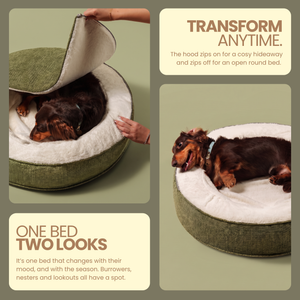 ZNOOZ Macaron Bed for Small Dogs