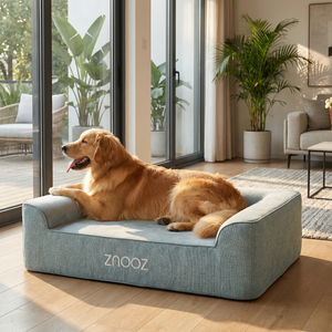 ZNOOZ Orthopedic Dog Bed