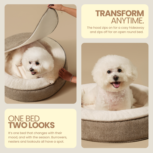 ZNOOZ Macaron Bed for Small Dogs