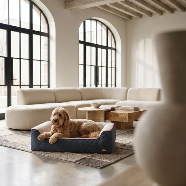 ZNOOZ Orthopedic Bed