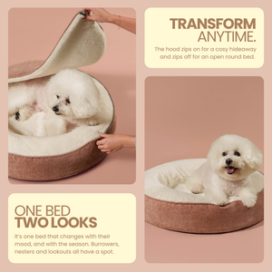 ZNOOZ Macaron Bed for Small Dogs