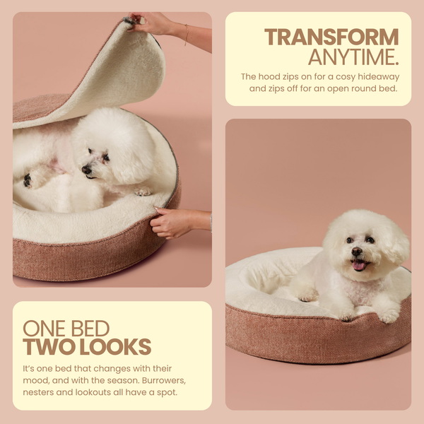 ZNOOZ Macaron Bed for Small Dogs