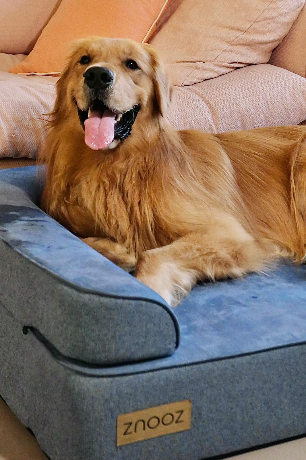 ZNOOZ MagZnap™ Dog Bed