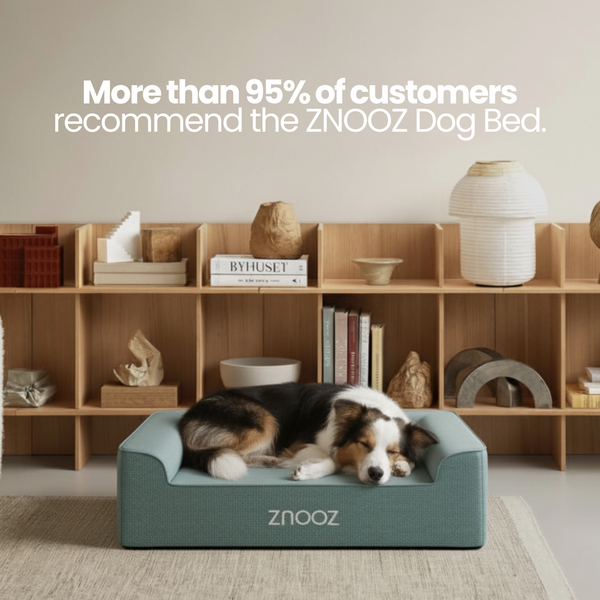 ZNOOZ Orthopedic Dog Bed