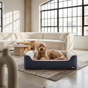 ZNOOZ Orthopedic Bed