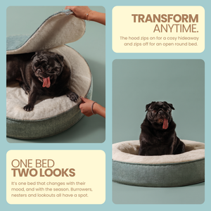 ZNOOZ Macaron Bed for Small Dogs