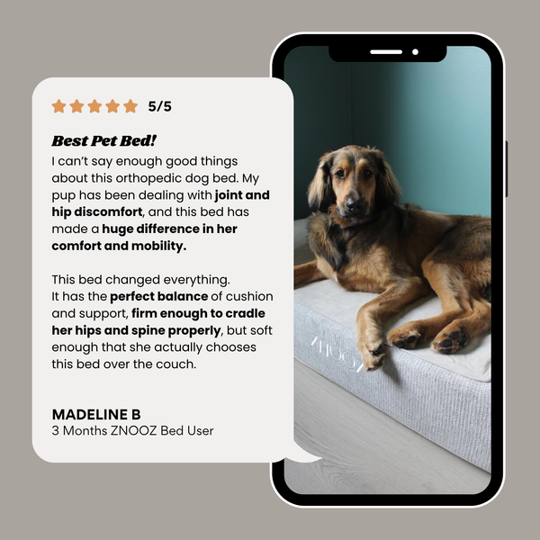 ZNOOZ Orthopedic Dog Bed