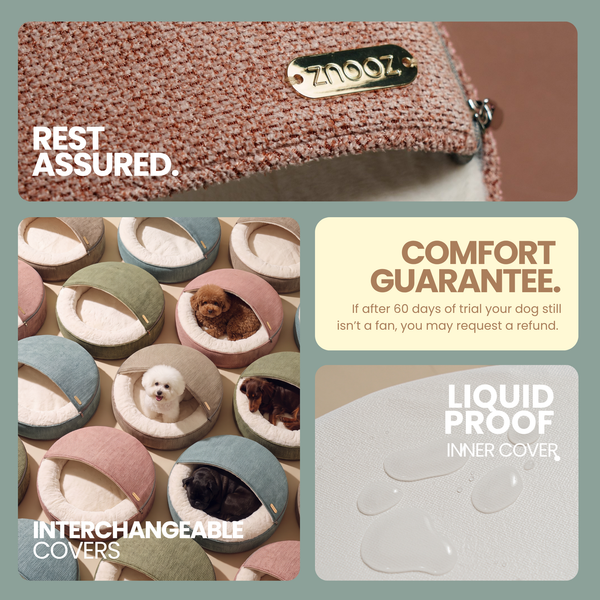 ZNOOZ Macaron Bed for Small Dogs