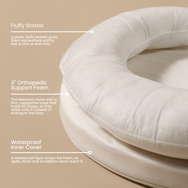 ZNOOZ Macaron Bed for Small Dogs
