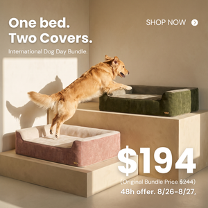 International Dog Day Bundle: Dog bed with extra cover