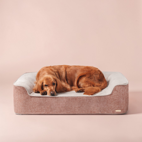 ZNOOZ Orthopedic Bed