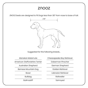 ZNOOZ Orthopedic Bed