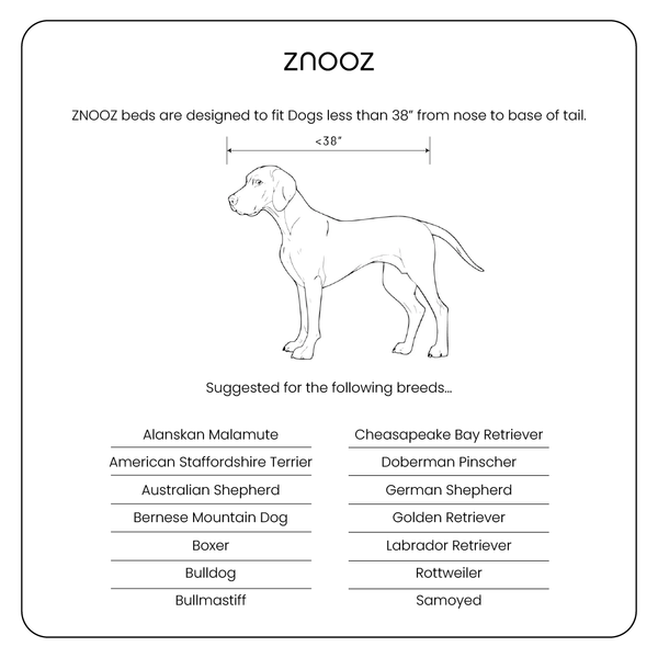 ZNOOZ Orthopedic Bed